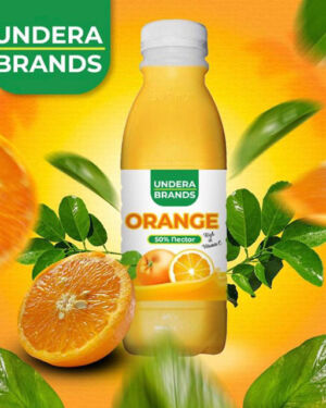 Orange Juice 500ml (6Pack)